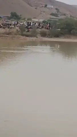 حالة غرق شاب بمنطقة السويري بتريم  منذ صباح اليوم حتى هذه اللحظة لم يستطع أحد الوصول إلى الشاب الغريق بسبب عمق البركة المائية..محاولات شخصية و رسمية ومتابعات من إدارة الأمن بالمديرية لكن دون جدوى  الأهالي يناشدون كافة السلطات والمسؤولين و المنظمات لإنقاذ الشاب الغريق الذي قضى حتى الآن أكثر من 6 ساعات غائصاً في البركة المائية
