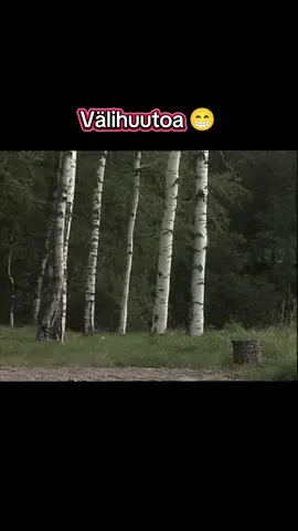 Välihuutoa #suomi #spede #pikkupojat #huumori #nostalgia 