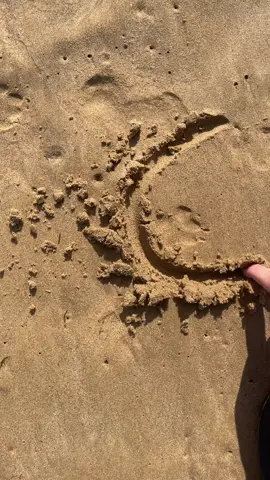 #chloe #sand #fyp #relatable 