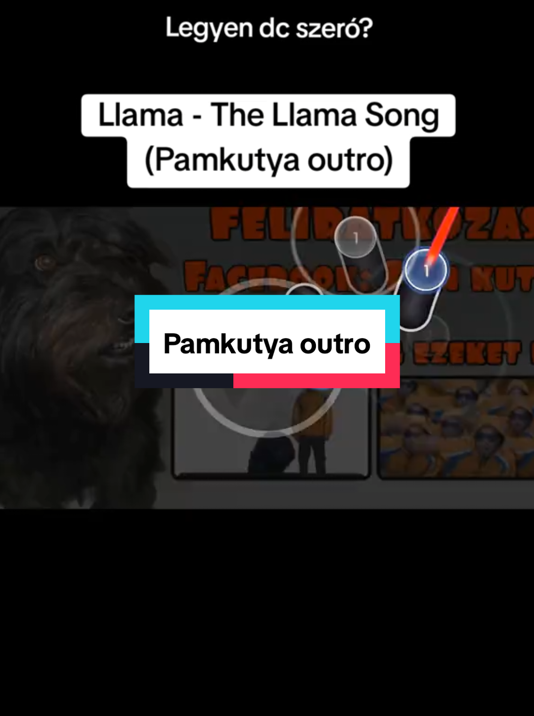 Llama - The Llama Song (Pamkutya outro) #osu #osugame #osugameplay #pamkutya