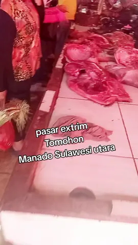 pasar extrim,ul4r per kg 50rbu #pasarextrimtomohon #pasarjualular #jualtikus 