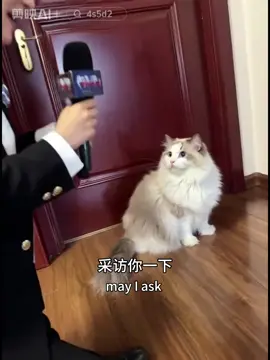 #cat #ai #foryou #PetsOfTikTok #animalstok #cutepet #catsoftiktok 