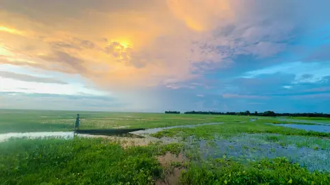নদী শুকিয়ে গেলে নৌকা হারিয়ে যায় না, ঠিক তেমনি আশা শেষ হলে মানুষও শেষ হয় না #nature #jmjahmed #jmjahmed1 #villagelife #trending 