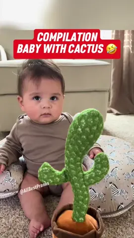 Compilation Baby With Cactus ! Try to not laugh 😂😂 #funny #funnyvideo #funnyprank #funnymoment #prankvideos #baby #cute #scarecam #fail #troll #fyp #funnyprankvideos 