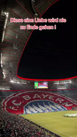 Ahhh ab morgen wieder Bundesliga jede Woche ❤️🤍🥹😍@FC Bayern  #fcbayern #fanoffcbayern #miasanmia #bundesliga #fy 