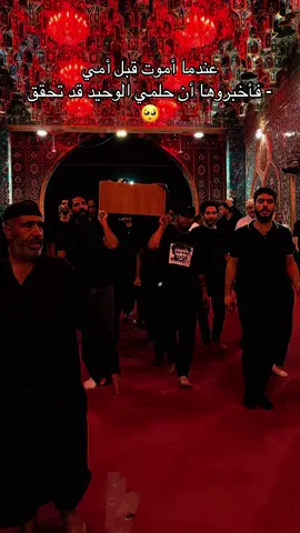 عندما أموت قبل أمي - فأخبروها أنا حلمي الوحيد قد تحقق#ابو_فاضل_اقضي_حوائجنا_نحلفك_بزينب #كربلاء_مدينة_العشق_والعاشقين #CapCut #اكسبلور #الاربعين 
