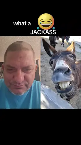 #duet with @FunkyAnimals_3D #funnyanimals #fyp #viral #jackass 