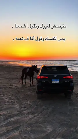#الخيل_العربي_الاصيل #خيل_وخياله🐎 #ابوهيبه #