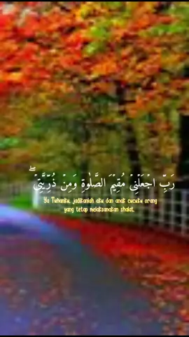 #CapCut#islamic_video#quran#flypシ#