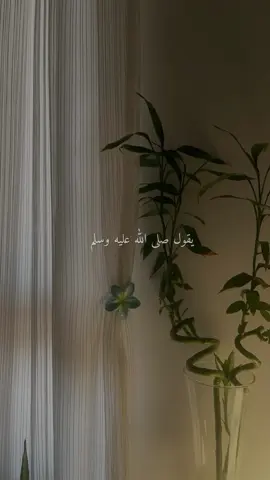 سورة الكهف 💚 #اكسبلور #قران_كريم #الكهف_نور_مابين_الجمعتين #الكهف #explore 