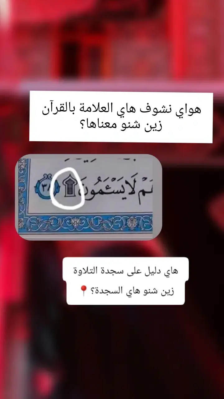 #fyp  #معلومات #دينية  #اكسبلوررررر  #تيك_توك 
