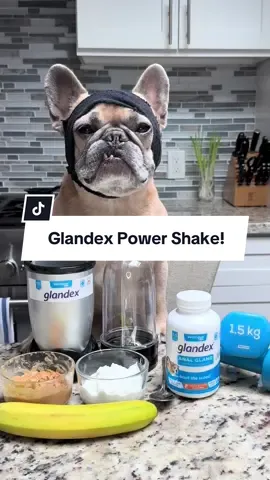 Apollo may look like he’s all about the gym life, but his real struggle wasn’t weights...it was tummy troubles. 💪🐶 After starting Glandex Anal Gland Powder by @Vetnique Pet Health Products (with this delicious recipe!), his gut health finally got the support it needed. Now he’s feeling good, looking good, and proving that real gains start from the inside out.  #BootyGoalsUnlocked #dogs #vetniquepaidpartner #ad #glandex 