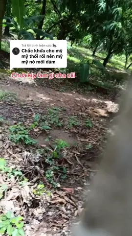 Trả lời @🦍 @Trần Khương 87 