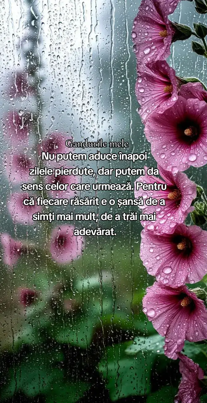 #gandurilemele 