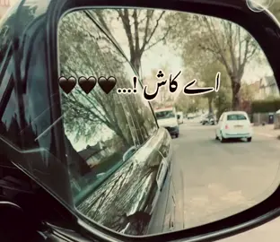 🖤🖤🖤 درد سب کے دل میں ہے فرق یہ ہے کہ کوئی لکھ رہا ہے، کوئی پڑھ رہا ہے🥀 #fup #urdupoetry #urdushayari #urdu #dilkibaat 
