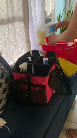 Bolso organizador de productos de limpieza #bolsoorganizador #organizadordelimpieza #limpiezadecasa #organizadorproductos 