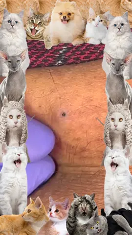Skin cleansing & Pedicure #fyp #foryou #fypシ #pimple #satisfyingvideo #viral #skincare #skincare #ingrowntoenail #pedicure