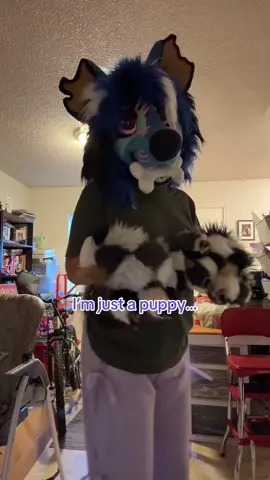 🤷🏼‍♀️ #fursuitdancing #furries #furriesoftiktok #fyp #furry 