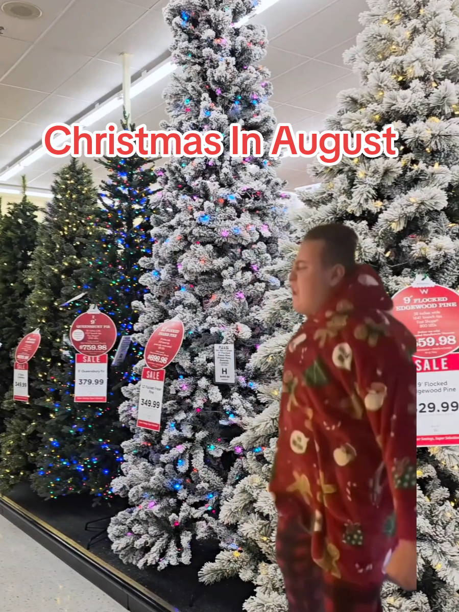 Made sure to grab all my viral christmas decor at Hobby Lobby before they sell out 🥰. . . . .  #meme #christmasaesthetic #Navidad #christmastok #christmas   Hobby Lobby christmas deecor 50% off Christmas decor  christmas finds  christmas aesthetic  cozy vibes only christmas nostalgia  holiday aesthetic  christmas lover christmas core memecut all I want for christmas  feliz navidad
