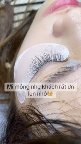 Miii Mee lắm luông😽#misiêuthực #nốimilôngthật #nốimitựnhiên #đàotạonốimi #họcnốimi 