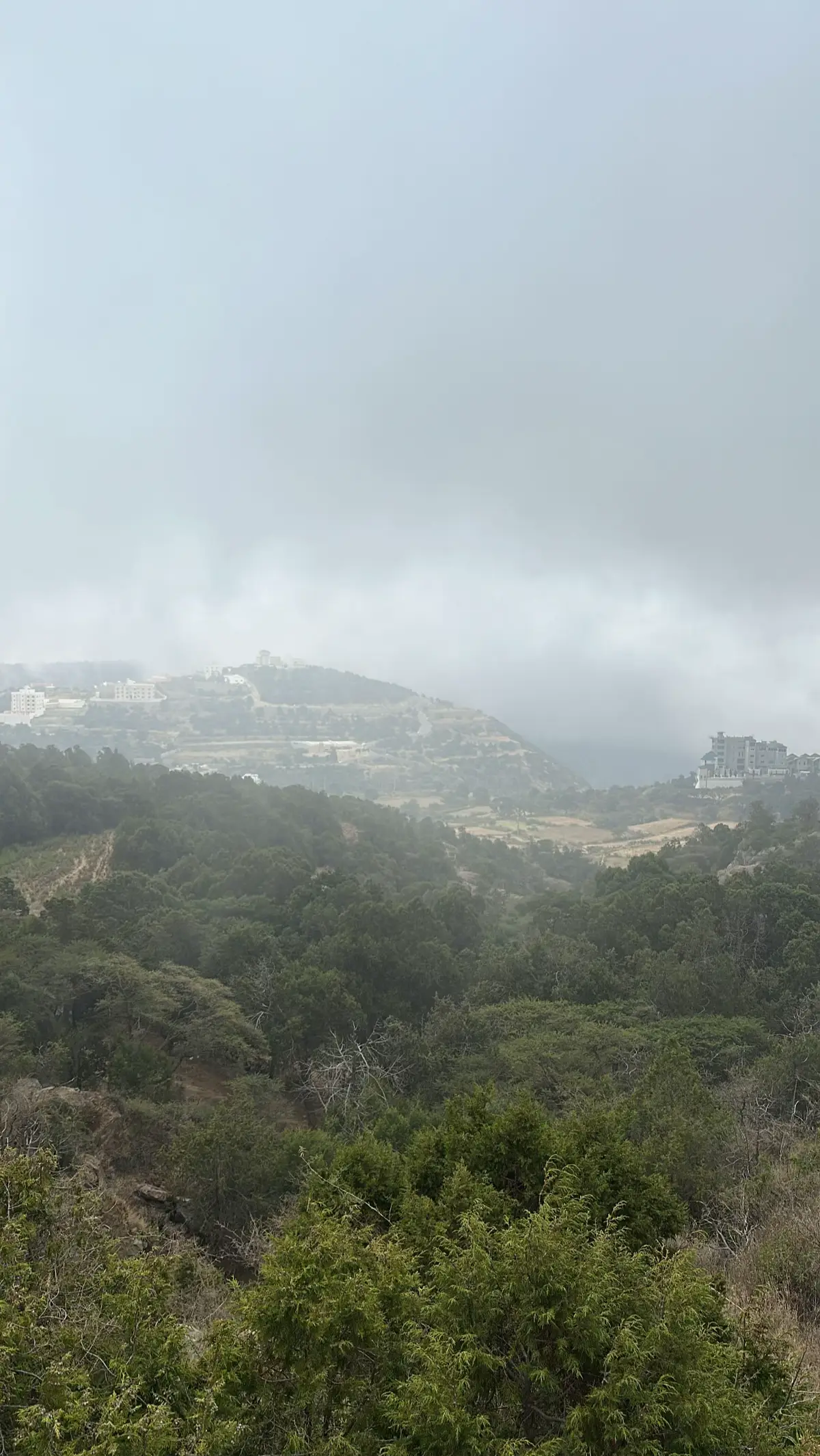 #explore #الزلفي 