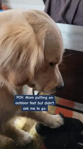 You're not going without me 