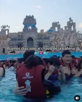 ❌Entender la pta vibra ✅Vivir la pta vibra  #humorPOP #potaxie #holdmyhand #nothingbeatsajet2holiday 