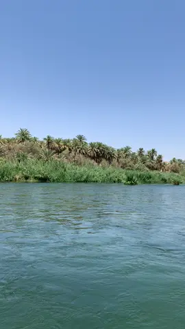 #سعدي_الحديثي_چوبي 