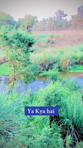 #kokyalalaoyakyaha #creatorsearchinsights #pleaztiktokteammyvideoforyou #kokyalhalpingsociety #maresonapendkokyalkhurd @asim Rajpoot 347 @Malik Yasrab @Rana Riaz411 @Ch Fizan Rajput @Malik Dawood @Rajpoot @sarwar 786 