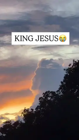 This is wild.  God is the creator #creator #clouds #earth #God #christianity #christiantiktok #jewish #sky #Jesus #Christisking #christian #face 