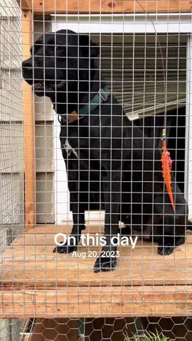 #onthisday 