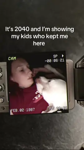 #CapCut #fyp #pitbull #souldog #allwhitepitbulls 
