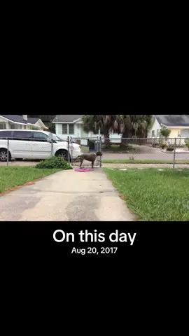 #onthisday this is my mom’s voice. I have not heard it in seven years. Rest her soul.