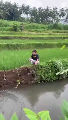#mancing #sawah #lucu#