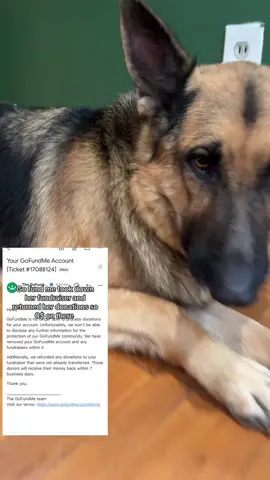 It’s been a rough journey between TikTok banning up for a short while and gofund me taking all of Melis funds. But we now got it back up again and now meli can receive the help she needs ❤️ #prayingonherdownfall 