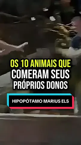 Animais que comeram seus próprios donos- o hipopótamo de Marius Els - #misterio #fatosbizarros #terror #animal #horror 