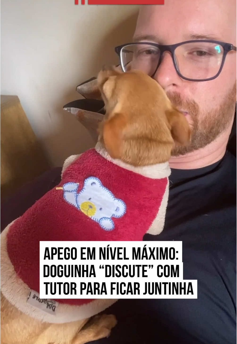 🛋️🐶  Não vai sair daqui não! No vídeo, um tutor tenta se levantar, mas recebe uma resposta cheia de resmungos e apego. A #pet não quer papo: faz cara de brava, protesta com charme e se recusa a sair do colo.   A negociação até parece séria, mas logo vira um momento cheio de carinho e #beijinhos. No fim, fica claro: tudo que ela quer é seguir grudadinha com o dono. #TikTokNotícias  📹 juliano.schiavo (ig)  | @myhoodbr