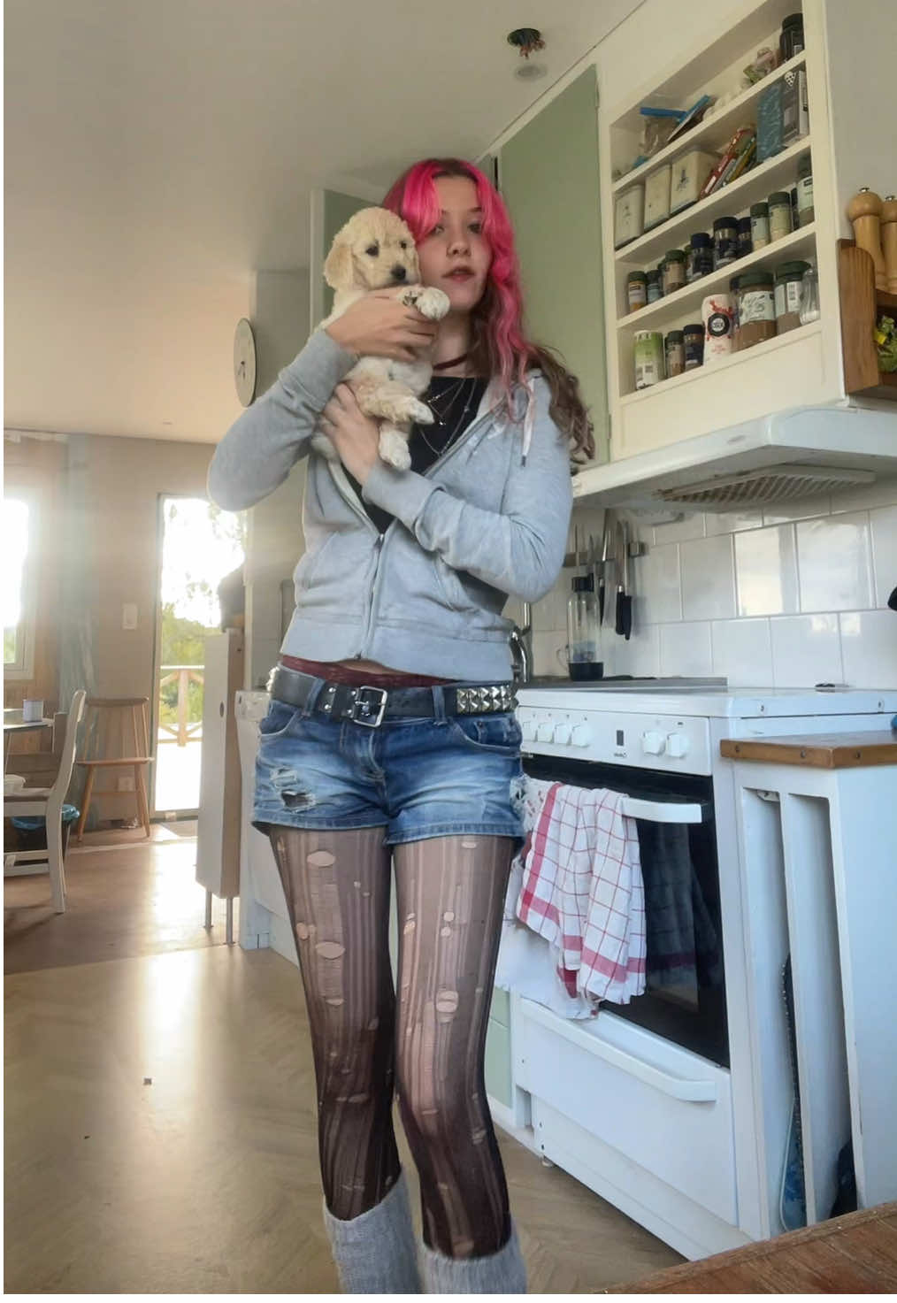 Outfit check me lux 😼 #OOTD #puppy #dog #outfitcheck  #kpopfyp 