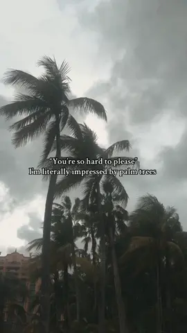 Just take me by Palm Trees 🌴 