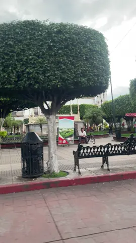 Me gusta mucho puruas 🥰 #puruandiro #soymichoacano 