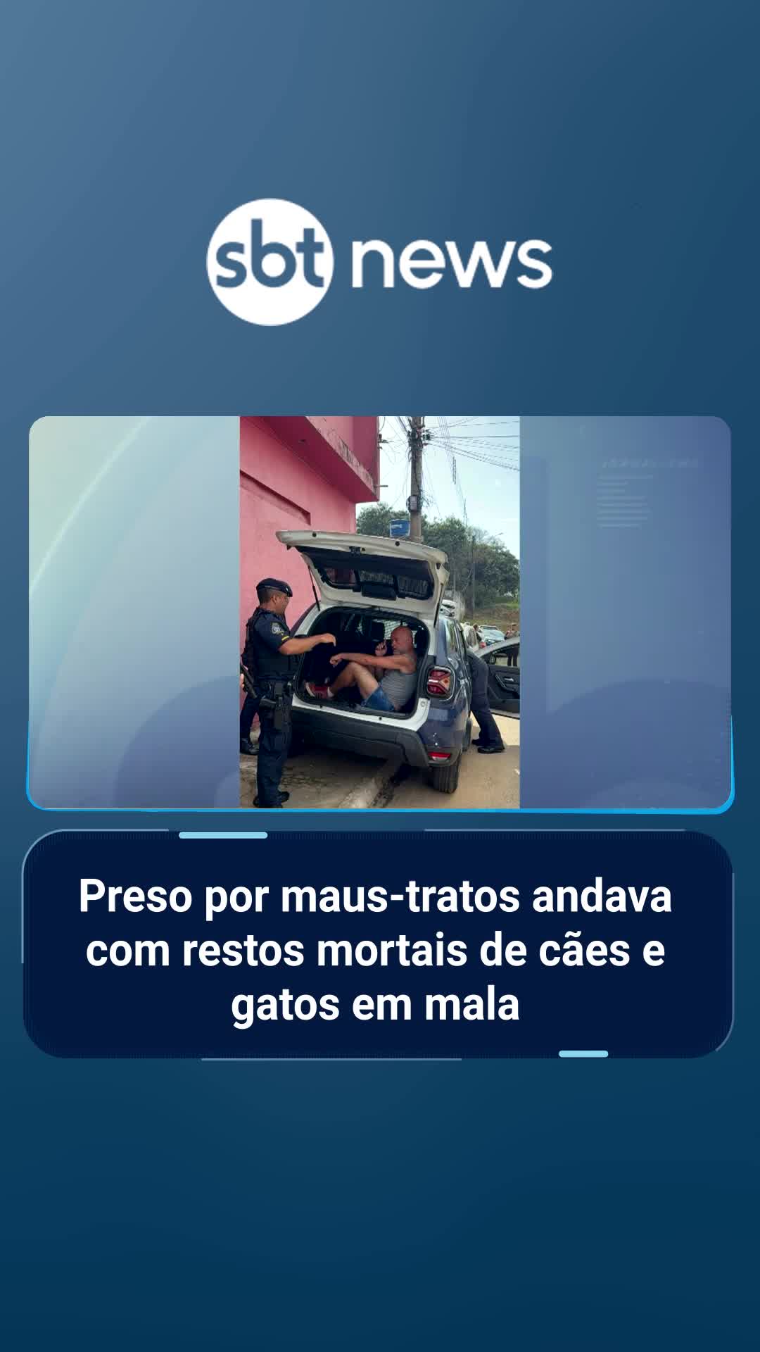 Um homem de 47 anos foi preso em Francisco Morato, na Grande São Paulo, acusado de matar e maltratar cães e gatos. No imóvel, foram encontrados 18 animais em estado crítico, quatro mortos e restos de outros enterrados. O suspeito ainda circulava com cadáveres de gatos em uma mala e ameaçava vizinhos. Os animais sobreviventes receberam cuidados veterinários e o caso segue em investigação. Há a suspeita de que o homem sofra de transtornos mentais. | #sbtnews #notícias #sbtmanha #homem #preso #maustratos #cães #gatos #sp