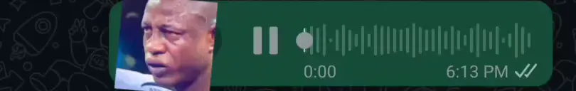 PASI 3 UPO GOLINI😂