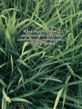 mungkin alun masonyo lai  #promoseruweekend #sad #sadstorydrivermuda #pariwisatapekanbaru #mikatranspariwisata 