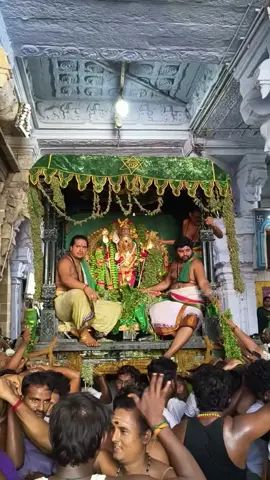 🦚⚜️✨️திருச்செந்தூர் அரசன் 🙏✨️⚜️💫 #thiruchendur #murugantemple #vetrivelmuruganukkuarogara #muruganthunai #muruganthunai🙏 