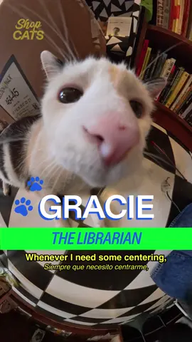Meet Gracie in Williamsburg Host: @MICHELLADONNA  Producer/DP: Drew Rosenthal (@Be Happy For Once) Editors: Drew Rosenthal & Sean Fitzmaurice Graphic Design: Alex Mi AE: Ryan Novak Translator: Amaya Garcia PA: Vivienne S A show by Mad Realities #cat #nyc #bookstore #brooklyn #shopcats