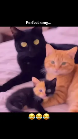 😊😂