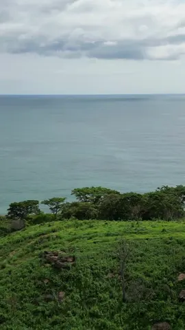 🌅 San Juan del Sur isn’t just a beach town—it’s a lifestyle where eco-luxury thrives. From golden sunsets and surf to communities like Big Sky Ranch, Las Fincas Escamequita, and Costa Dulce, each one blends sustainability with style, offering mindful living in paradise. 🌴✨ 📲 Discover eco-conscious opportunities with Reliance Realty today