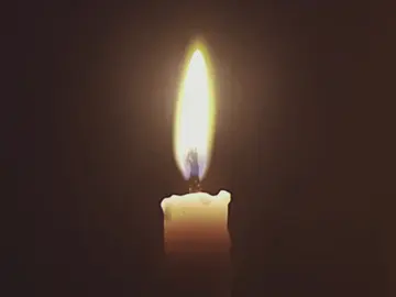 where orthodoxy meets nature 🌲☦️ video clips are not mine! creds to owners  #orthodox #nature #animals #saint #fyp 