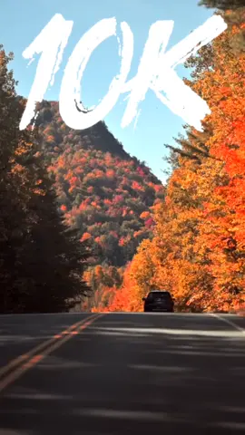 🍁 VERMONT, O ENCANTO DO OUTONO 🇺🇸🏞️ Vermont é um pedacinho de poesia americana, famoso por suas florestas que explodem em cores no outono 🍂🍁. Vilarejos charmosos, pontes cobertas de madeira e montanhas serenas criam um cenário que parece ter saído de um cartão-postal. É o destino perfeito para quem busca tranquilidade, natureza e aquele clima acolhedor ✨🏡. No inverno, Vermont se transforma em paraíso para esportes de neve ⛷️❄️, com estações que atraem turistas do mundo todo. E, claro, não dá para falar de Vermont sem mencionar seu famoso maple syrup 🥞🍯, que acompanha panquecas, sobremesas e dá o sabor único ao estado. Vinhos artesanais e queijos locais completam a experiência gastronômica. Vermont é simplicidade, beleza e autenticidade em cada detalhe. Uma joia escondida no coração da Nova Inglaterra. 🌲❤️ #boramonetizar #10k #fy #natureza 
