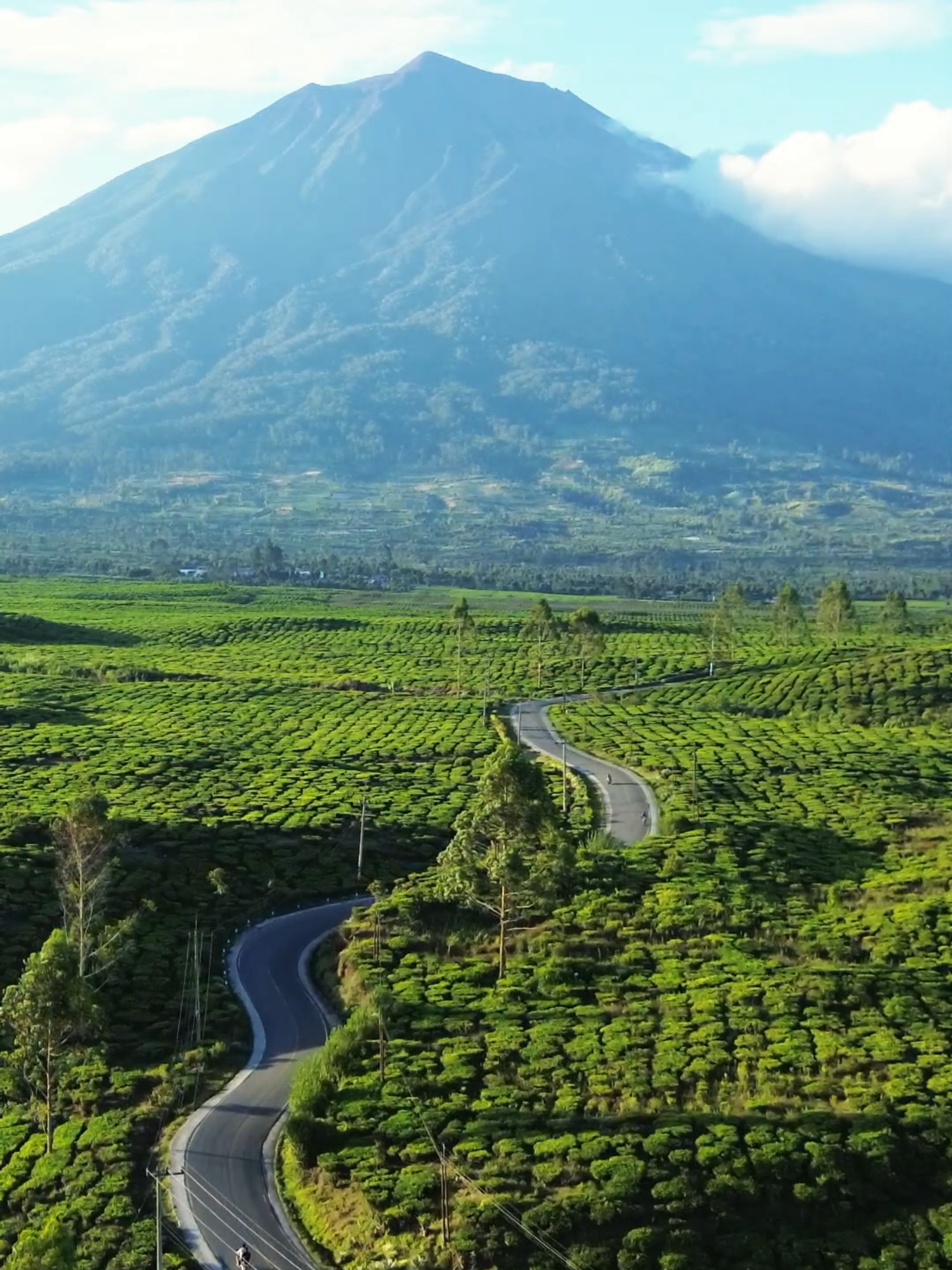 This is KERINCI kalian harus tau ini keren sumpah!!! Tonton sampai habis🙌🏼 . . @mt.kerinci . #tehkayuaro#kerinci#kayuaro#fyp#countryroads